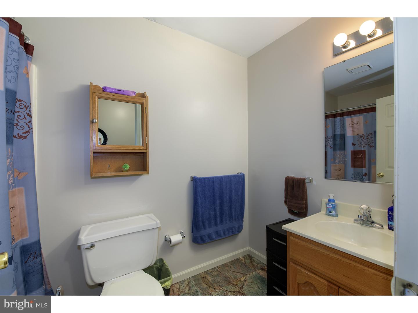 2805 Knoll Way Reading, PA 19608 - Photo 17 of 20 Bathroom