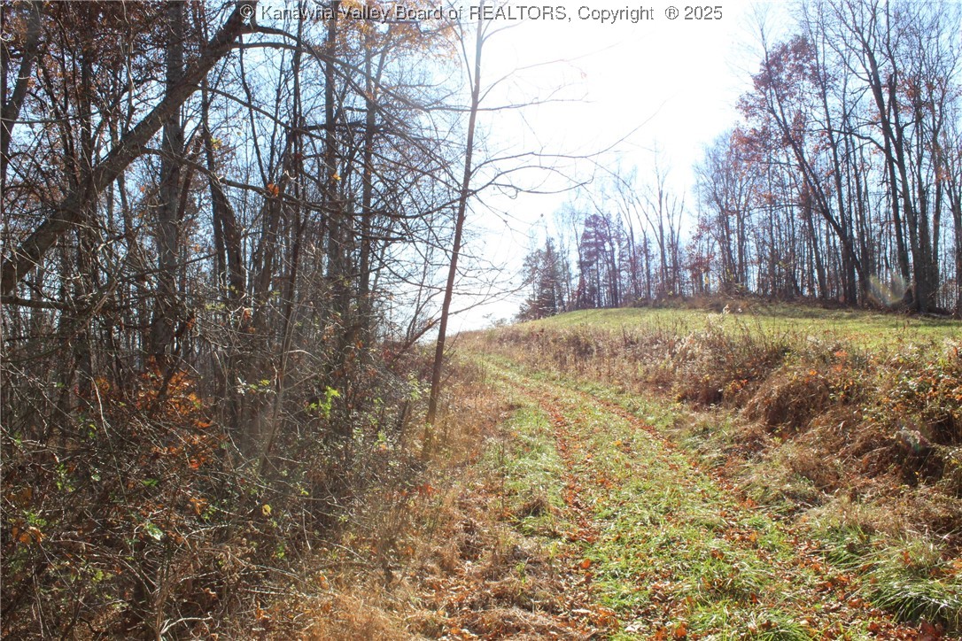 558 Sears Run Road Chloe, WV 25235 - Photo 13 of 29 Gallery Image 13