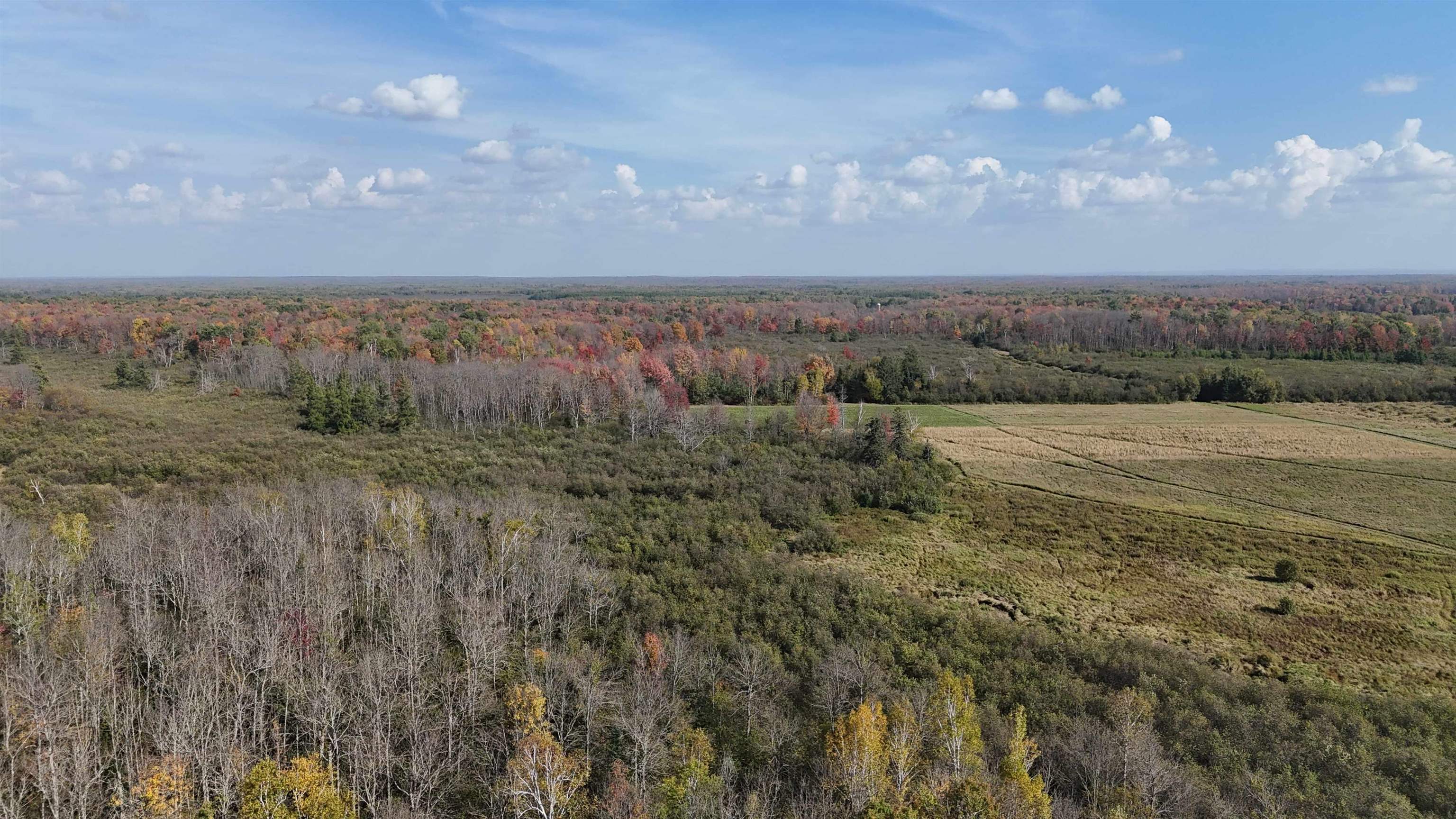 N5104 Pass Road Catawba, WI 54515 - Photo 31 of 31