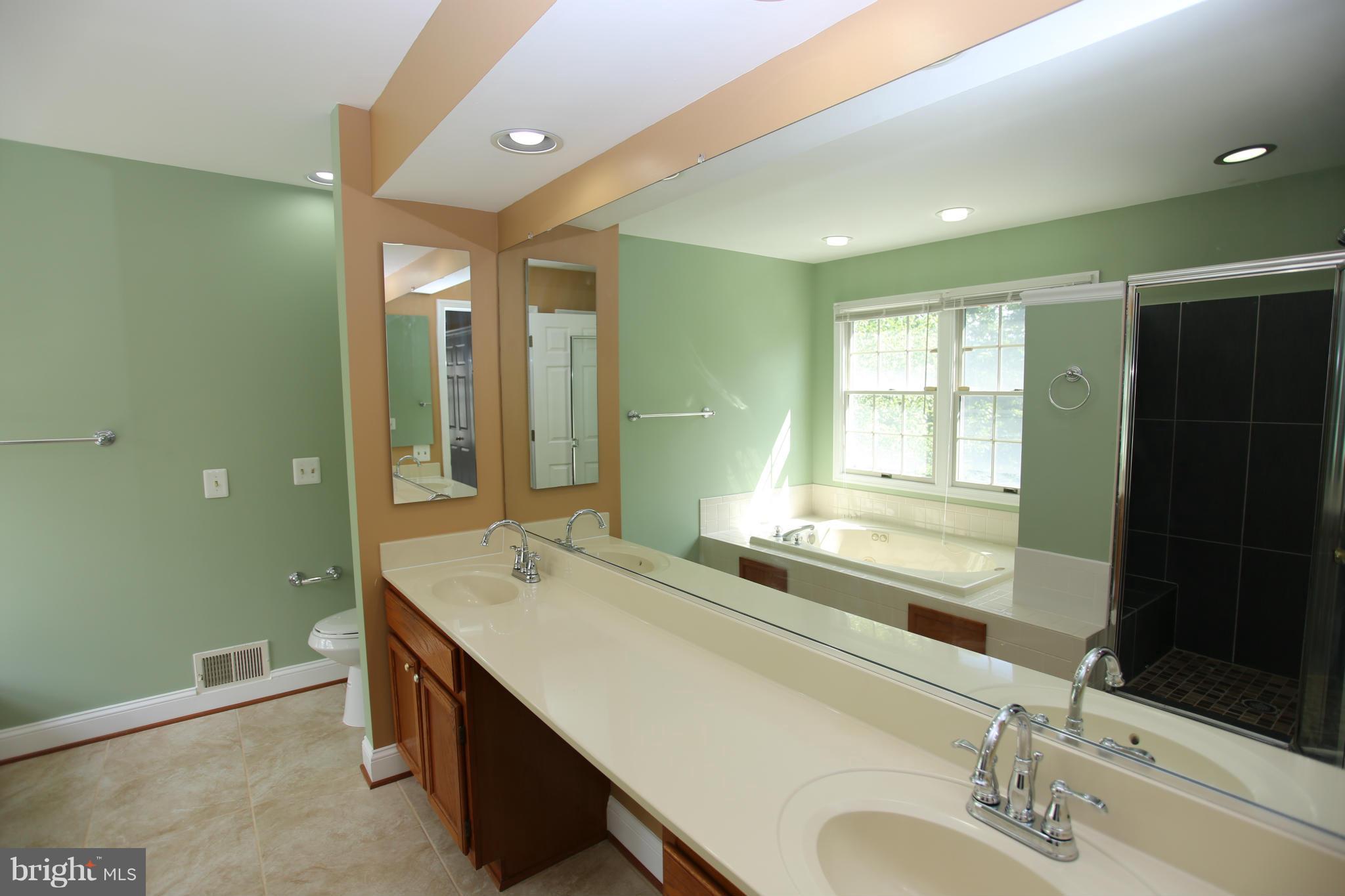 703 Monarch Ridge Road Frederick, MD 21703 - Photo 16 of 30 a en suite bathroom with a sink mirror and a bathtub