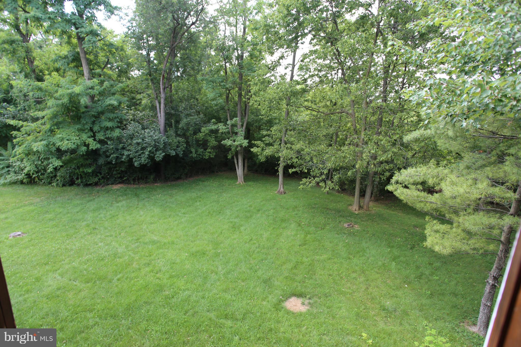 703 Monarch Ridge Road Frederick, MD 21703 - Photo 29 of 30 a view of a lush green space