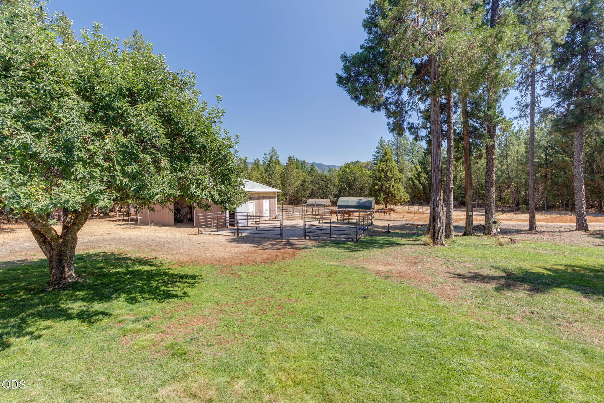 1650 Queens Branch Road Rogue River, OR 97537 - Photo 63 of 78 Gallery Image 63