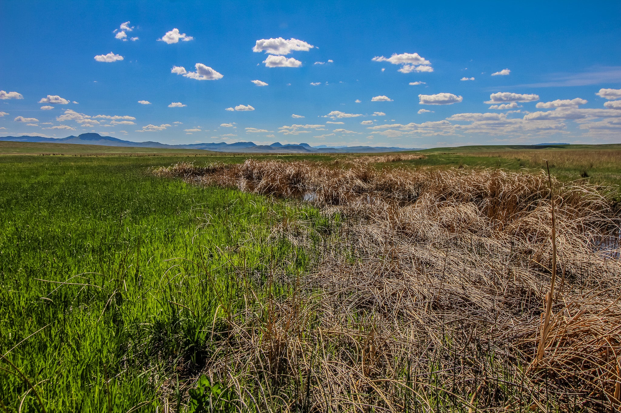 28 Oid Ulm Cascade Road Cascade, MT 59421 - Photo 9 of 10 Gallery Image 9