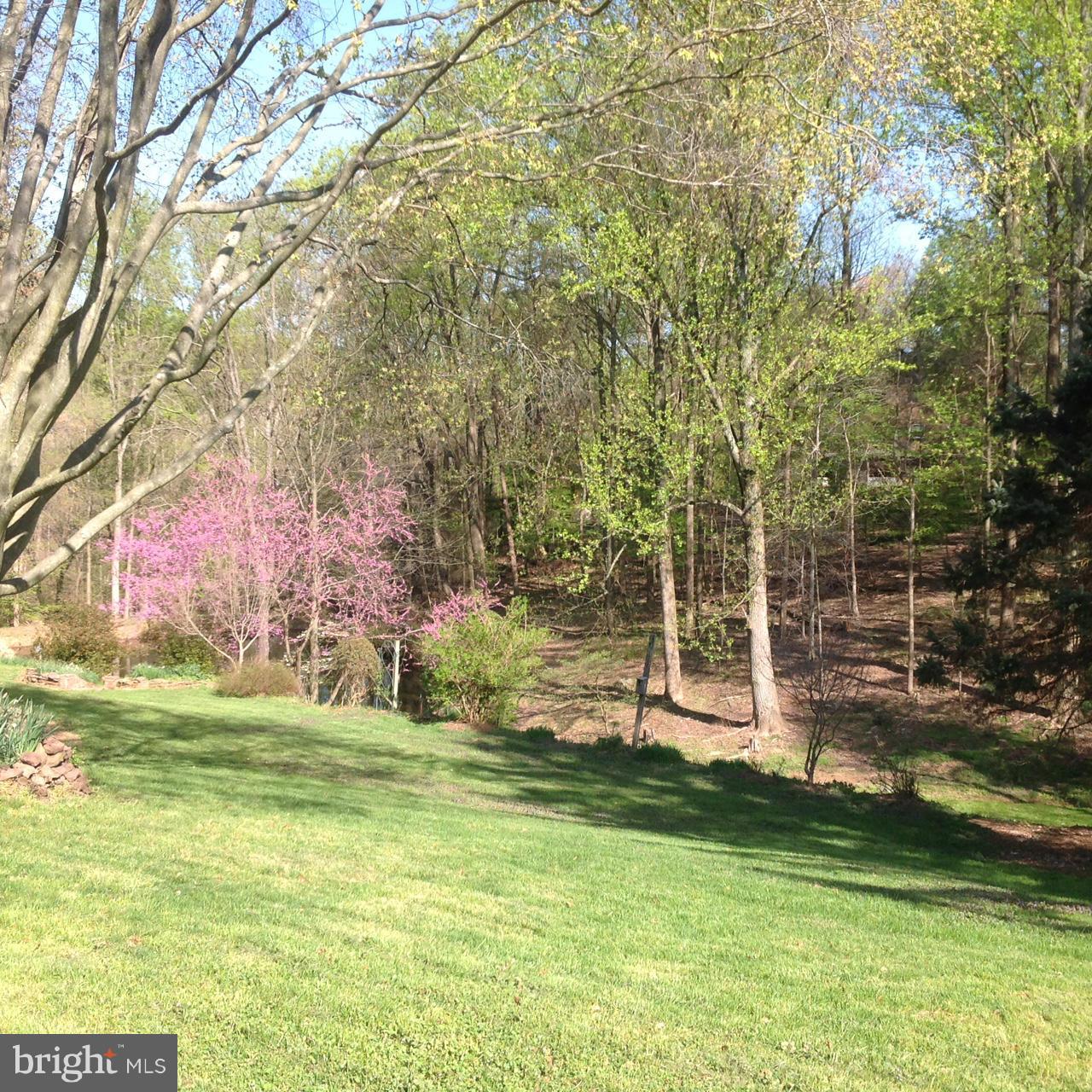 1009 Swinks Mill Road McLean, VA 22102 - Photo 1 of 15 Main view