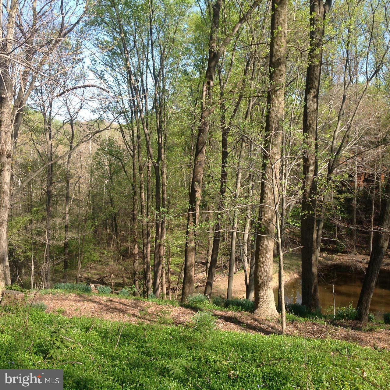 1009 Swinks Mill Road McLean, VA 22102 - Photo 11 of 15 Rear view