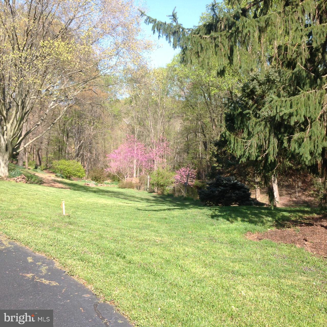 1009 Swinks Mill Road McLean, VA 22102 - Photo 12 of 15 View