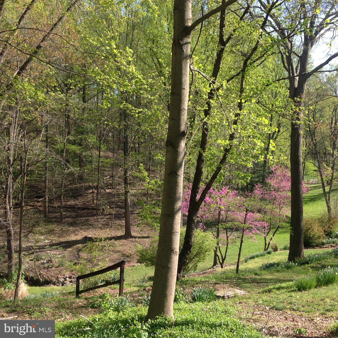 1009 Swinks Mill Road McLean, VA 22102 - Photo 13 of 15 Rear