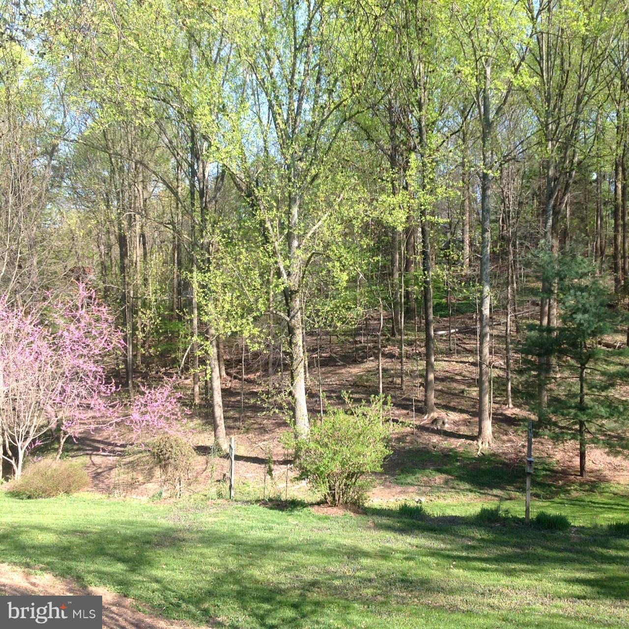 1009 Swinks Mill Road McLean, VA 22102 - Photo 14 of 15 View