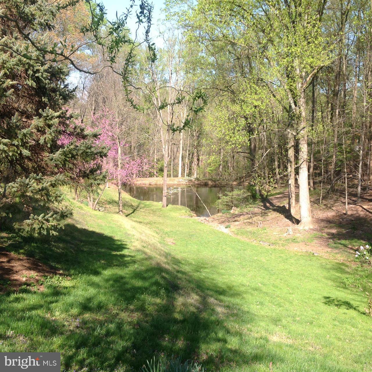 1009 Swinks Mill Road McLean, VA 22102 - Photo 15 of 15 Pond view