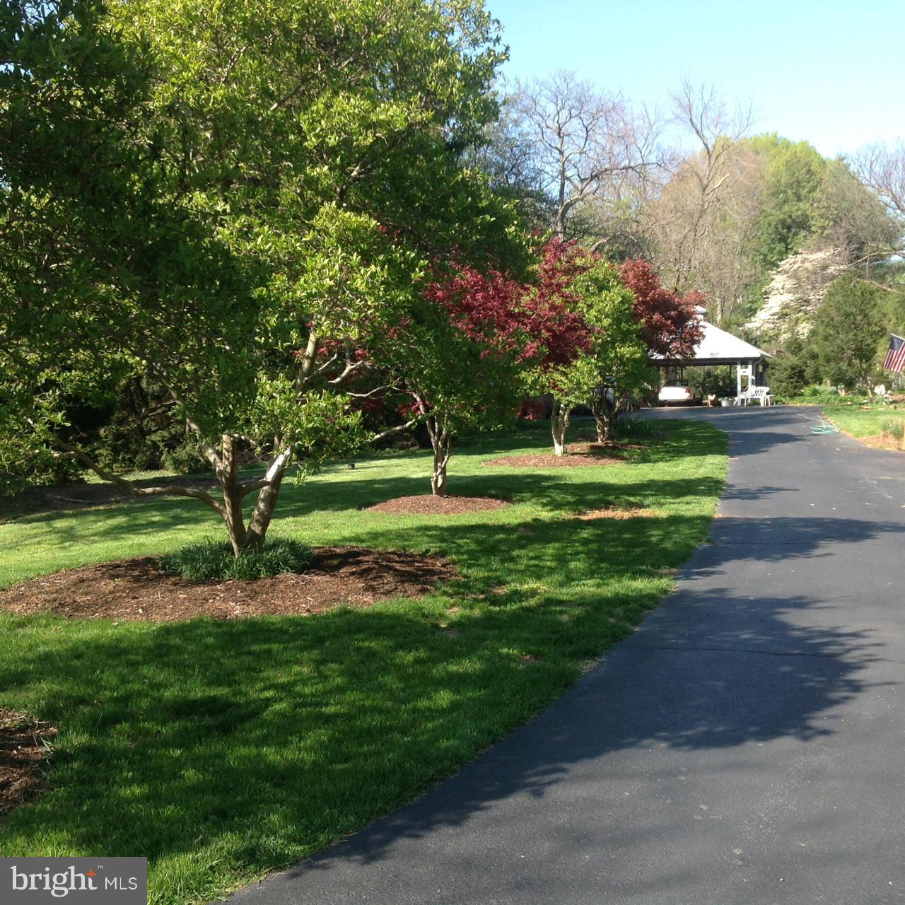 1009 Swinks Mill Road McLean, VA 22102 - Photo 3 of 15 Access driveway to Lt 2