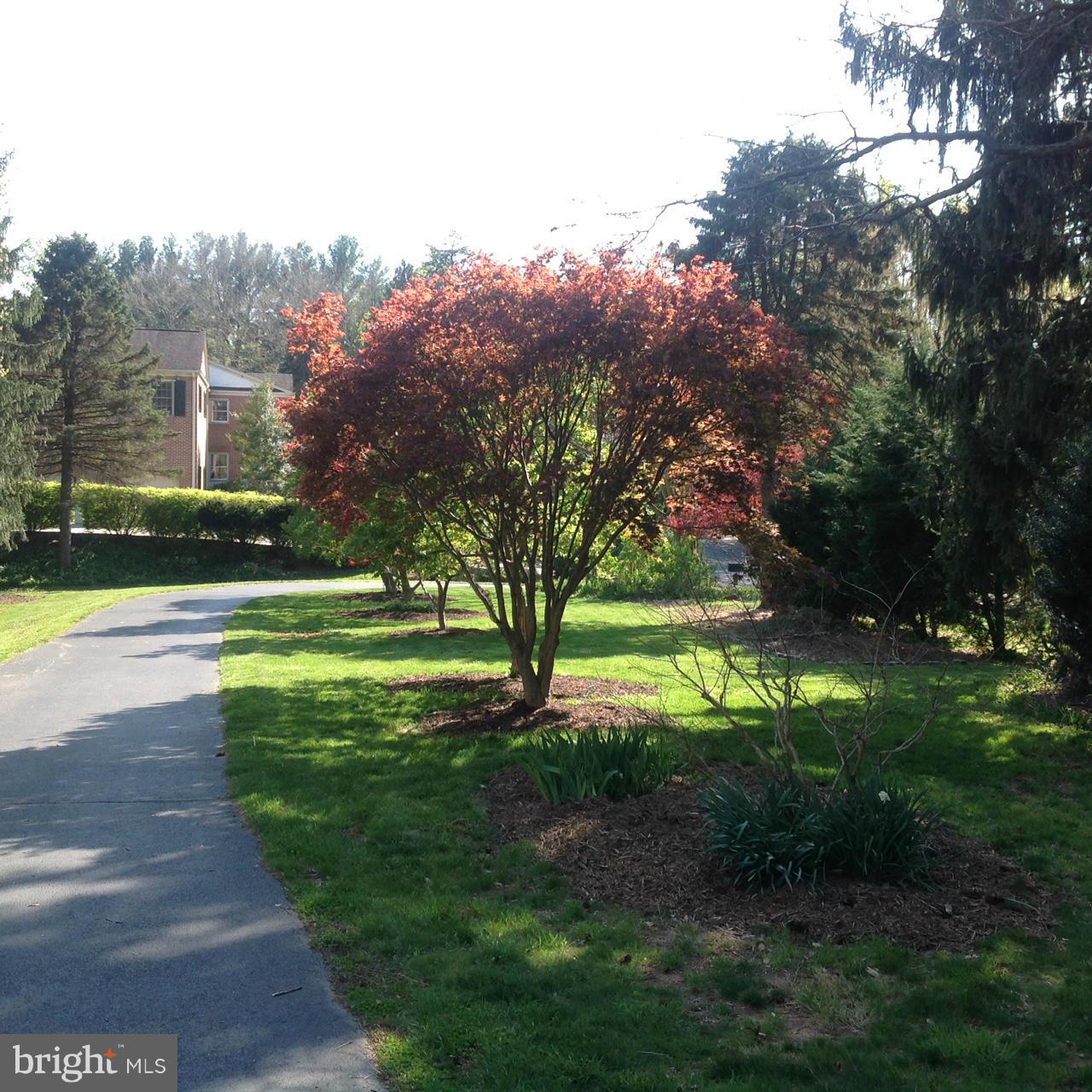 1009 Swinks Mill Road McLean, VA 22102 - Photo 4 of 15 Driveway access