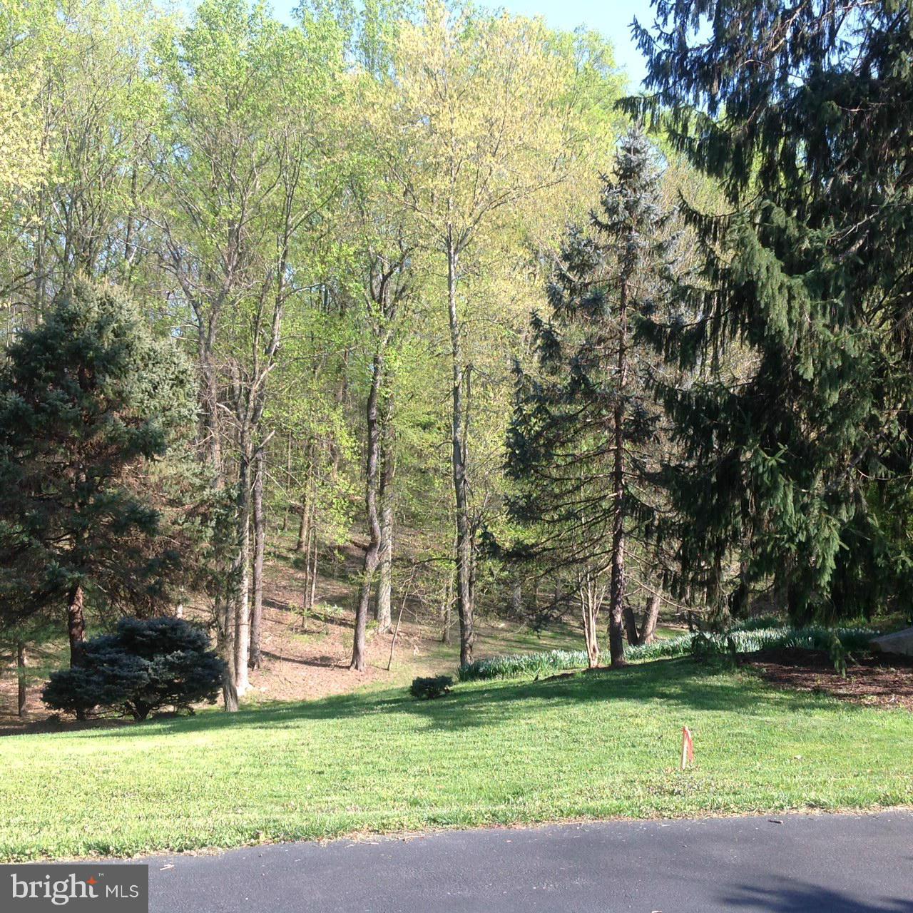 1009 Swinks Mill Road McLean, VA 22102 - Photo 8 of 15 Lot 1 front