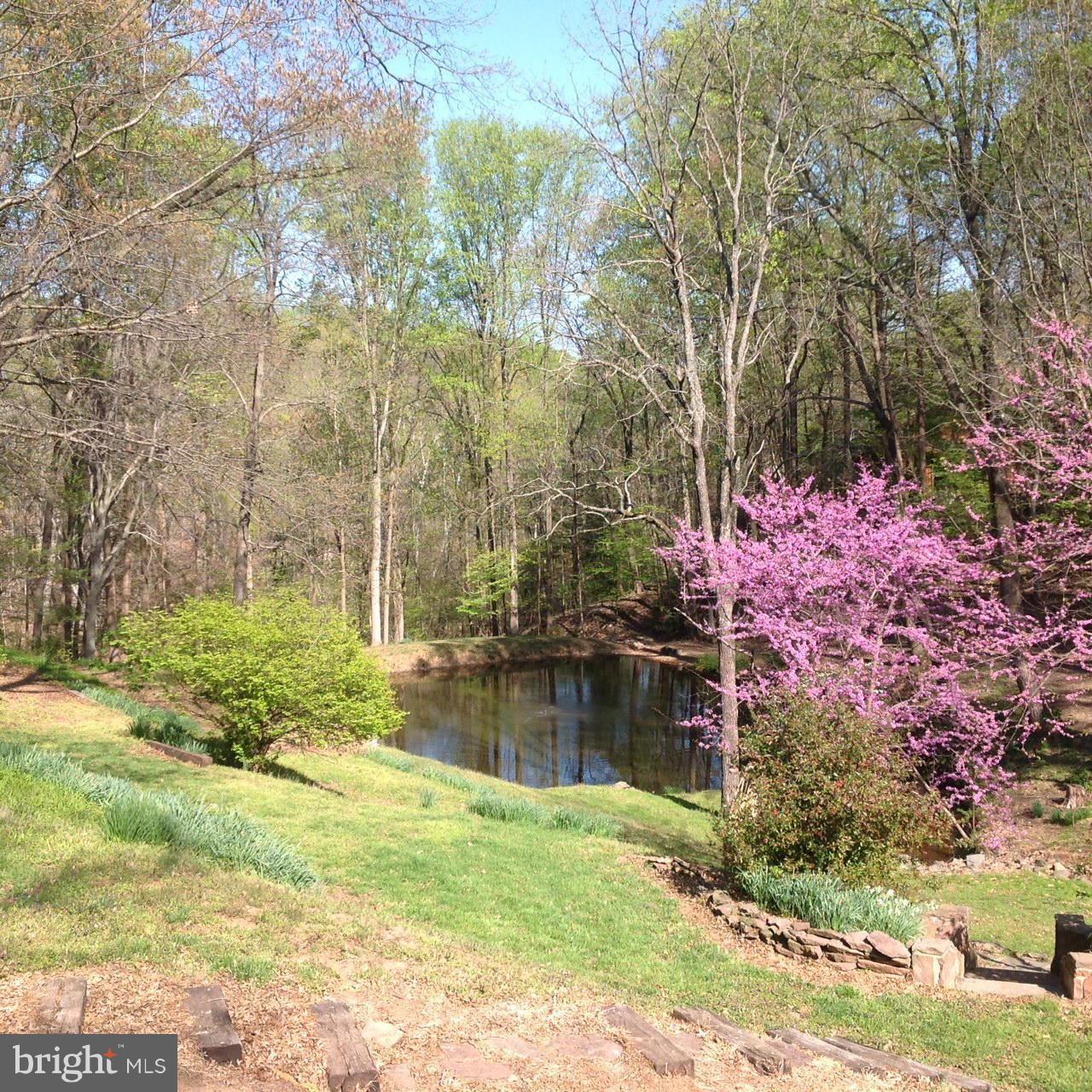 1009 Swinks Mill Road McLean, VA 22102 - Photo 10 of 15 Lot 2 Pond