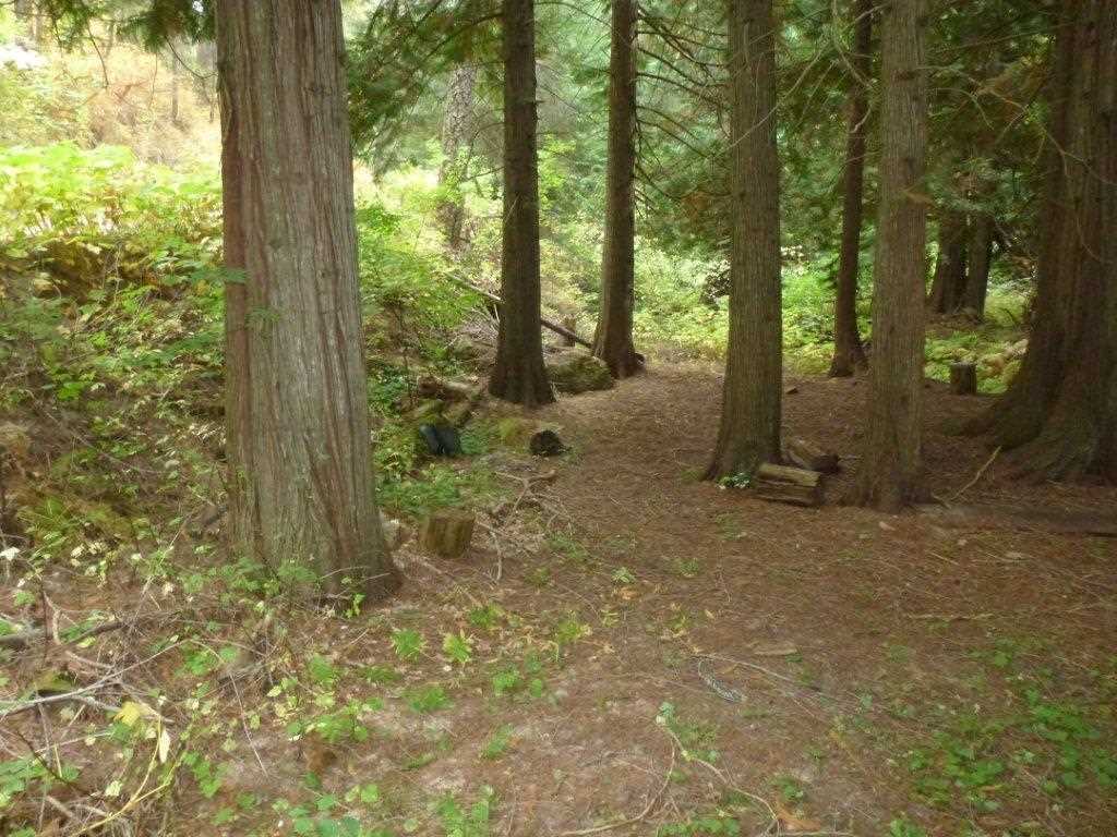 Xxx East Laurel Road Chattaroy, WA 99003 - Photo 1 of 6 Gallery Image 1