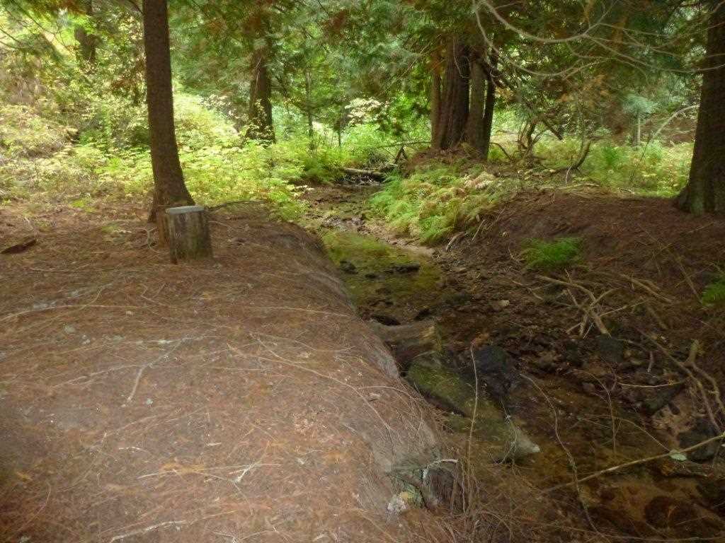 Xxx East Laurel Road Chattaroy, WA 99003 - Photo 5 of 6 Gallery Image 5