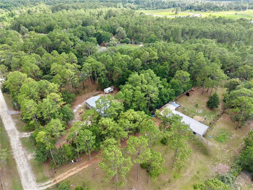 2482 South Wakulla Point Homosassa, FL 34448 - Photo 33 of 36