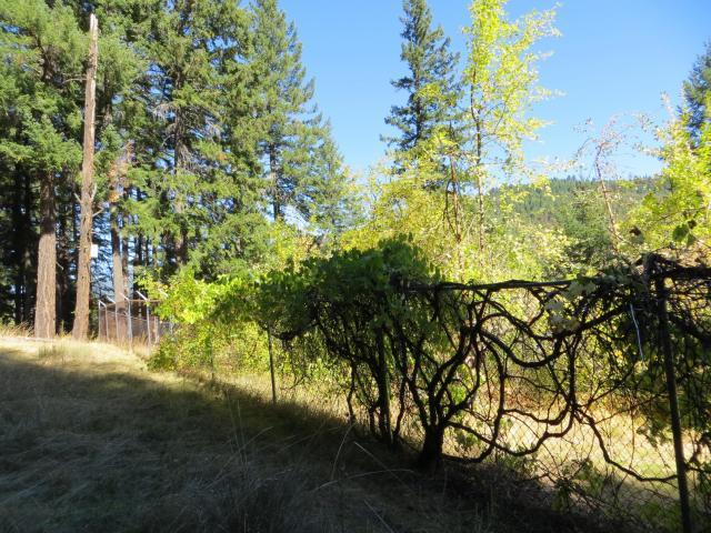 2500 Van Duzen Road Bridgeville, CA 95526 - Photo 14 of 48