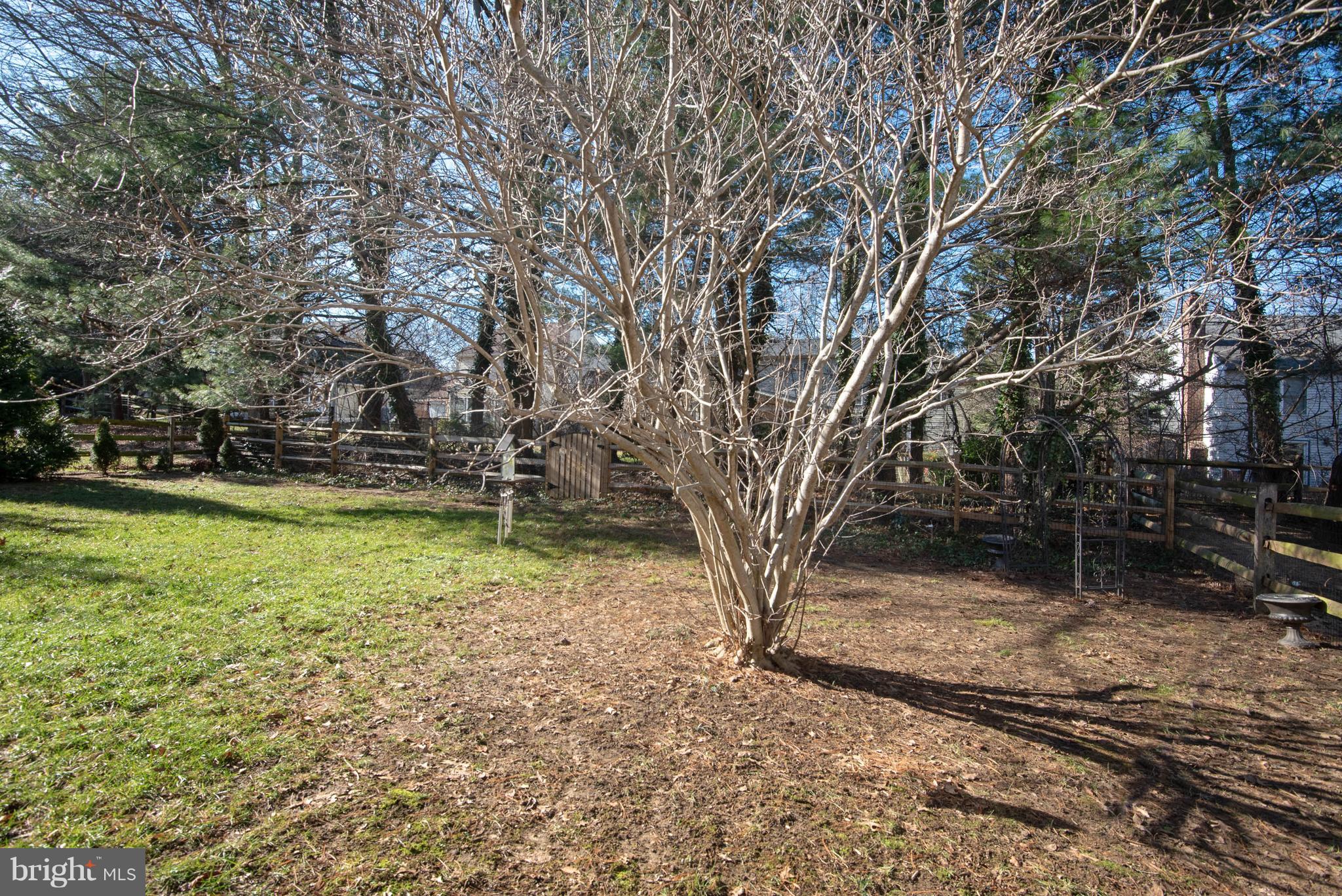 313 Canterfield Road Annapolis, MD 21403 - Photo 39 of 42 a view of a yard with a tree