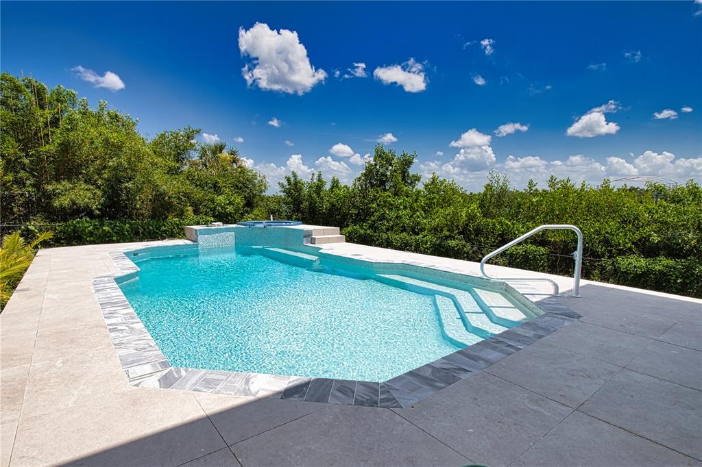 13064 Via Flavia Placida, FL 33946 - Photo 3 of 75 a view of a swimming pool with a yard