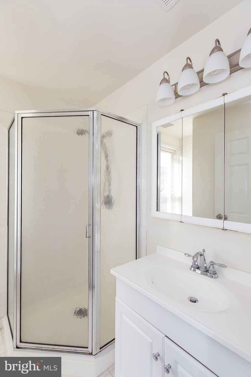 2 East Wheeling Street, Unit 209 Baltimore, MD 21230 - Photo 24 of 30 Bath