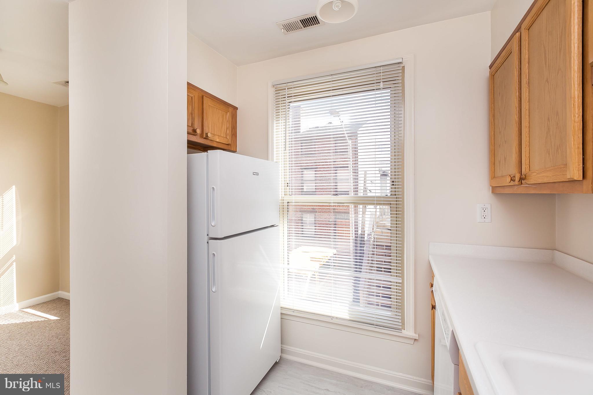 2 East Wheeling Street, Unit 209 Baltimore, MD 21230 - Photo 9 of 30 Kitchen