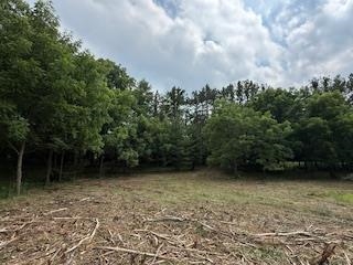 Lot 3 Church Merrimac, WI 53561 - Photo 13 of 27