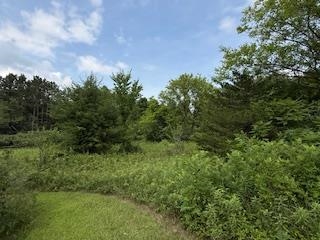 Lot 3 Church Merrimac, WI 53561 - Photo 14 of 27