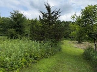 Lot 3 Church Merrimac, WI 53561 - Photo 19 of 27