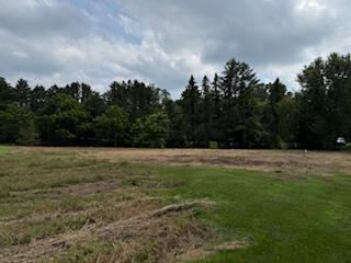 Lot 3 Church Merrimac, WI 53561 - Photo 25 of 27