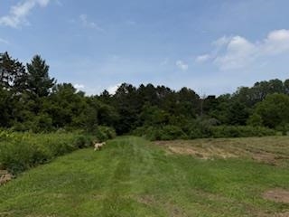 Lot 3 Church Merrimac, WI 53561 - Photo 26 of 27