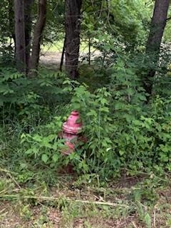 Lot 3 Church Merrimac, WI 53561 - Photo 8 of 27