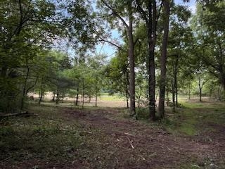 Lot 3 Church Merrimac, WI 53561 - Photo 10 of 27