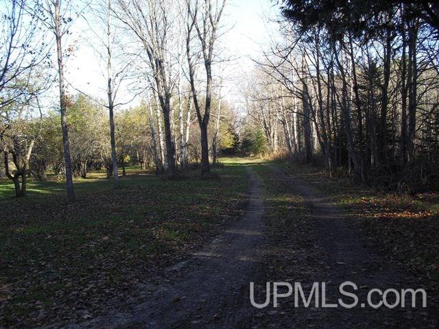 Tbd Country Lane Road Eben Junction, MI 49825 - Photo 6 of 21