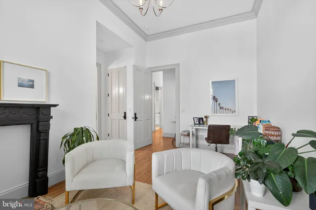 a living room with furniture and a potted plant