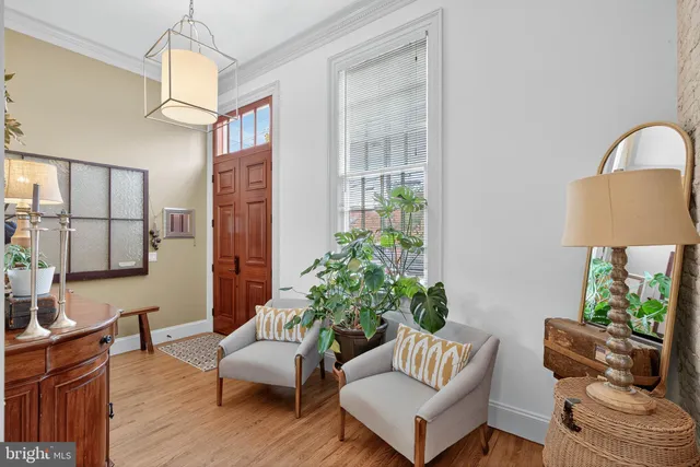 a living room with furniture and a potted plant