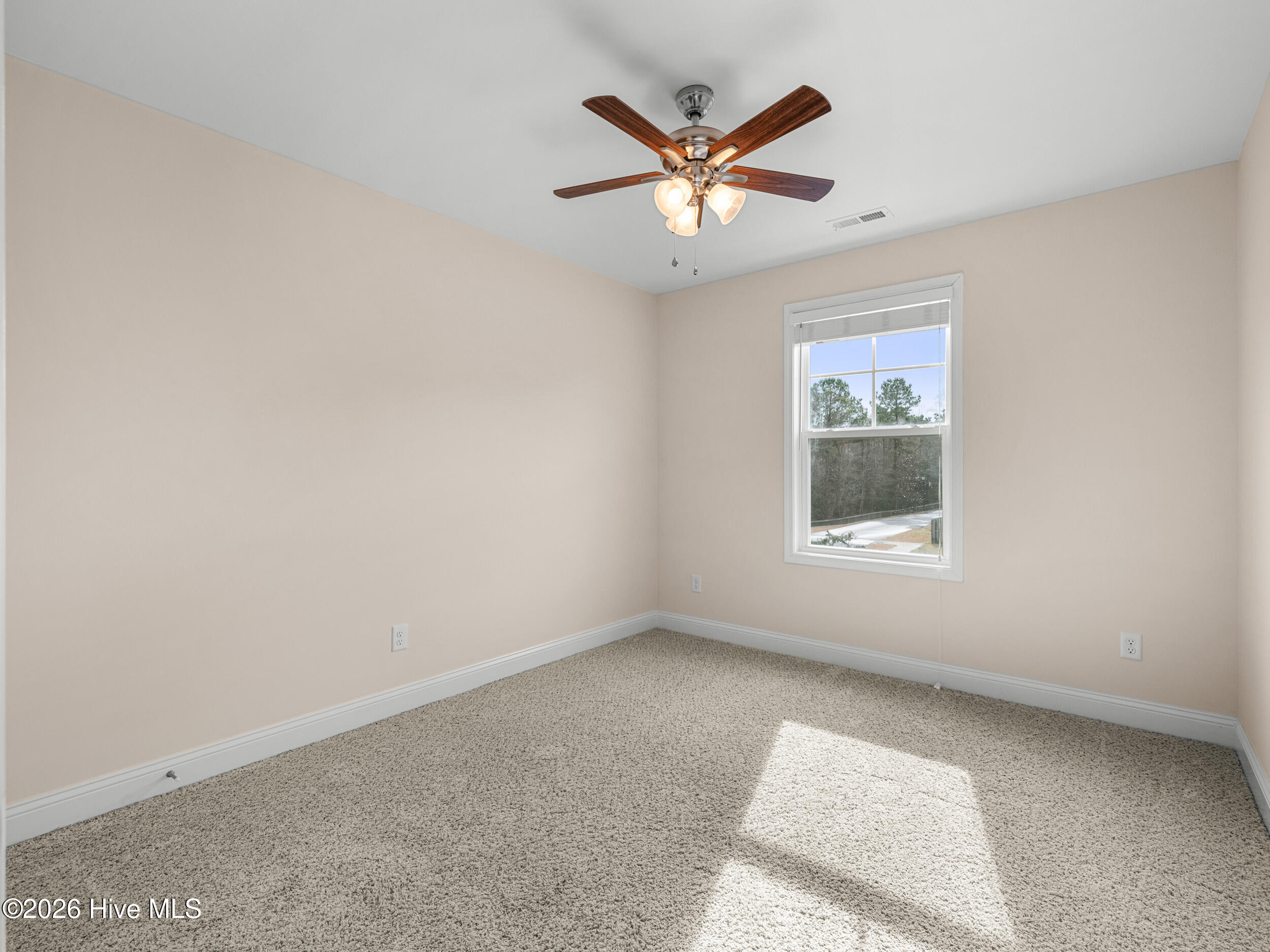 156 Poplar Branch Way Hampstead, NC 28443 - Photo 49 of 64 025a4543