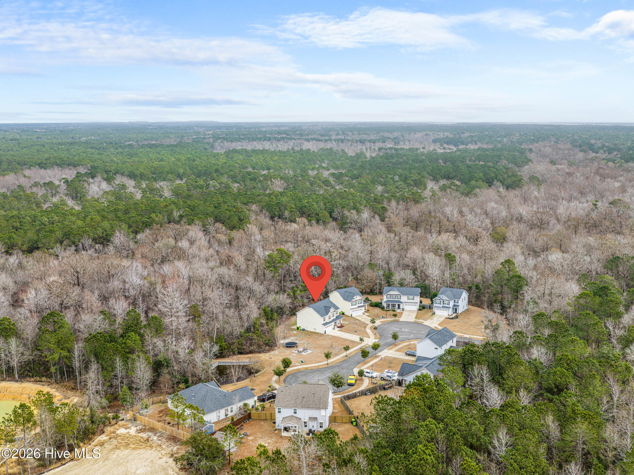 156 Poplar Branch Way Hampstead, NC 28443 - Photo 62 of 64 dji_20260110121017_0015_d-edit