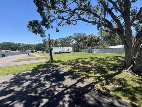 a view of a yard with a tree