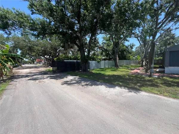 a view of a yard with plants and trees