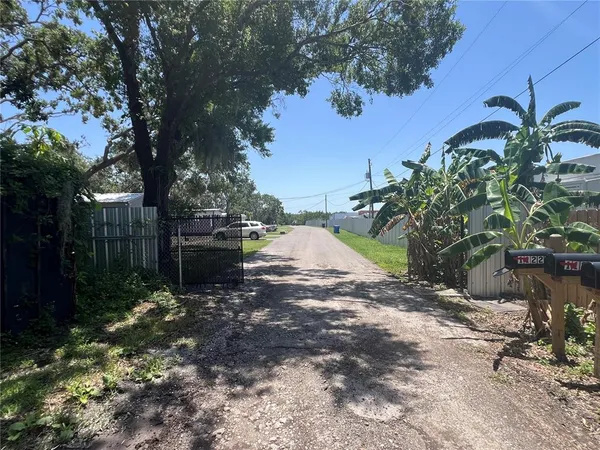a view of a yard with plants and trees