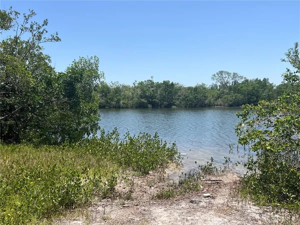 a view of a lake with a mountain in the background