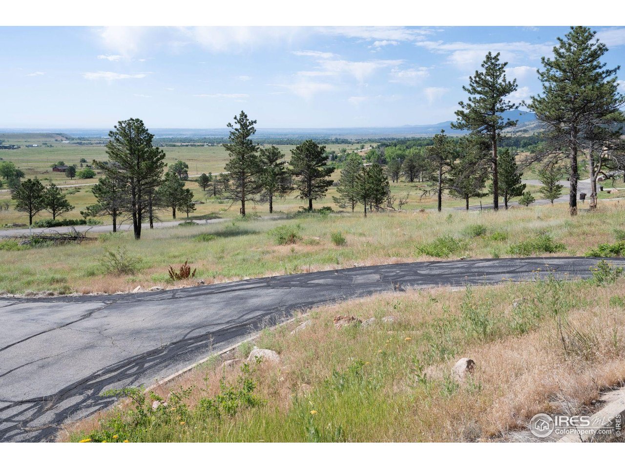 3029 Foothills Ranch Drive Boulder, CO 80302 - Photo 11 of 19 a view of a yard with of trees