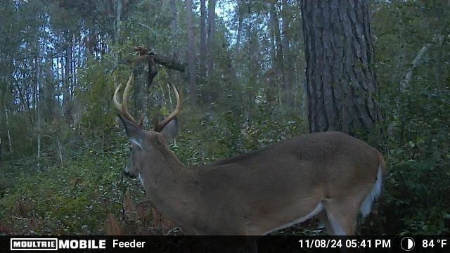 8290 Morven Road Hahira, GA 31632 - Photo 47 of 49 Gallery Image 47