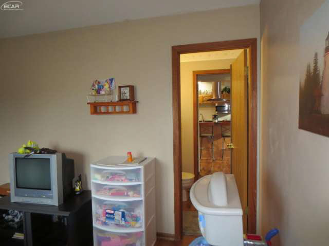 1233 North Oak Road Davison, MI 48423 - Photo 20 of 55 21195957-19.JPG