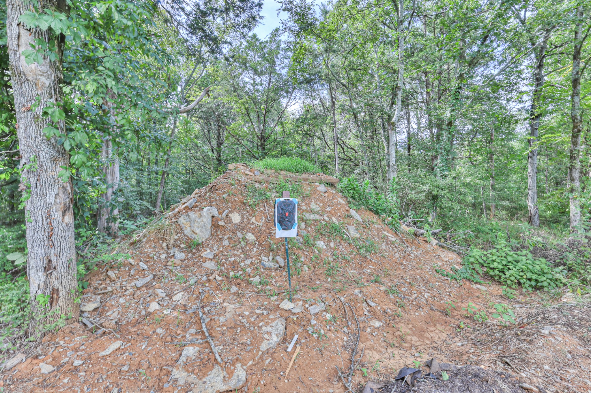 5673 Elam Road Murfreesboro, TN 37127 - Photo 81 of 97 Gallery Image 81