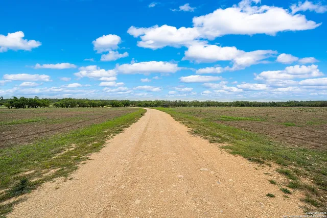 a view of a bunch of trees
