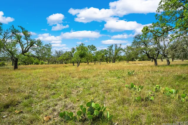 a view of a garden and entertaining space