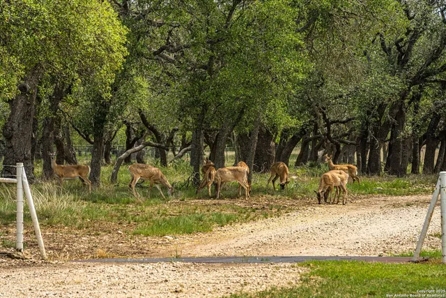 $2,250,000 | 1379 Baker-rogers Road, Harper, TX 78631