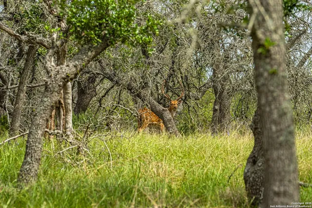 a view of building with yard