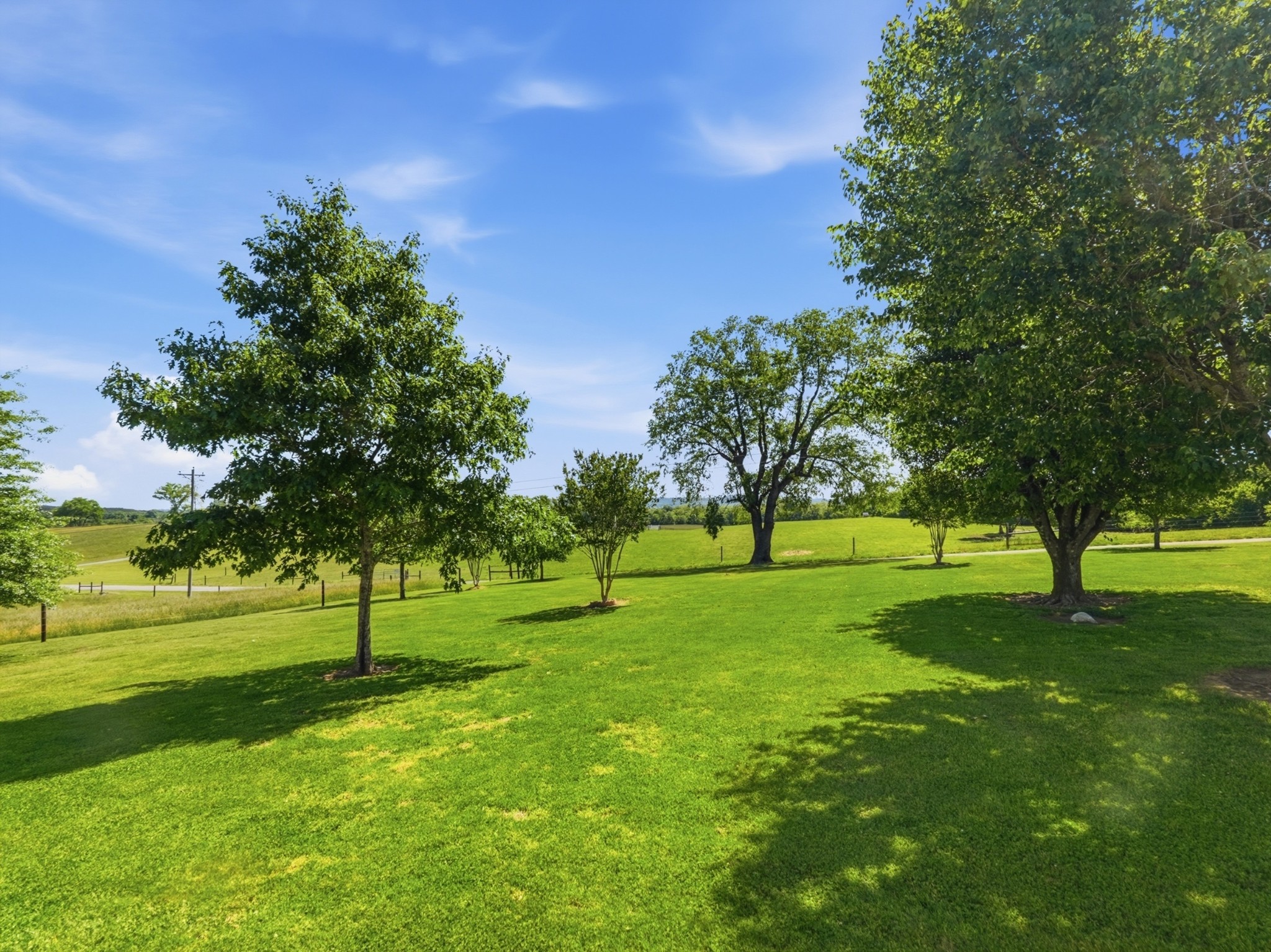 597 Hiwassee Road Lebanon, TN 37087 - Photo 27 of 37 a view of grassy field with trees